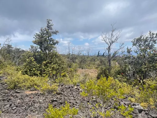 Ocean View, HI 96737,OCEAN VIEW PKWY