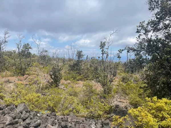 Ocean View, HI 96737,OCEAN VIEW PKWY