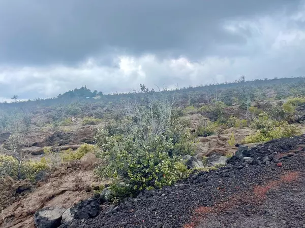 Ocean View, HI 96737,Lot 18 MARLIN BLVD