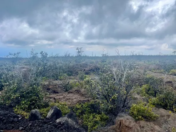 Ocean View, HI 96737,Lot 18 MARLIN BLVD