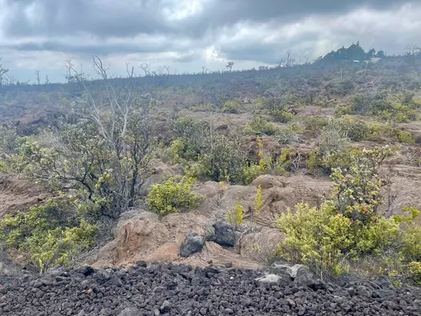 Ocean View, HI 96737,Lot 20 MARLIN BLVD