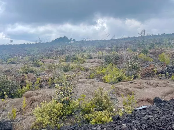 Ocean View, HI 96737,Lot 20 MARLIN BLVD