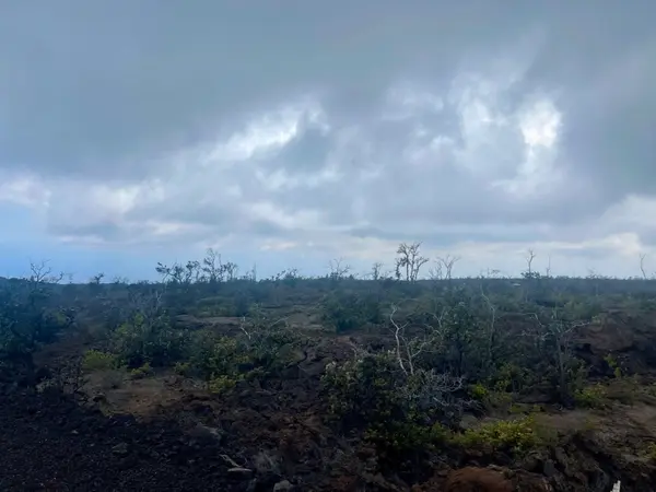 Ocean View, HI 96737,Lot 22 MARLIN BLVD