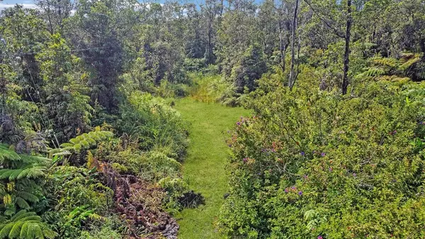 Volcano, HI 96785,ALII KANE ST