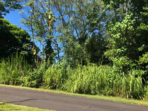 S AU ST, Pahoa, HI 96778