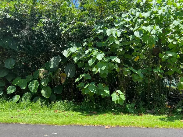 15-2691 OPAKAPAKA ST, Pahoa, HI 96778