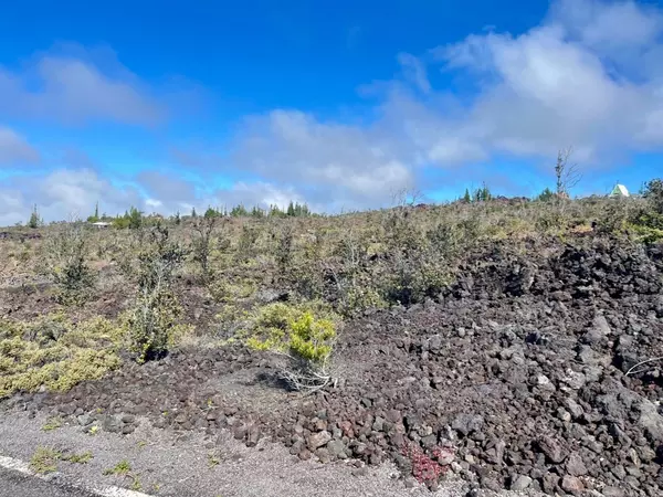 Ocean View, HI 96737,Lot 32 Sea View Dr