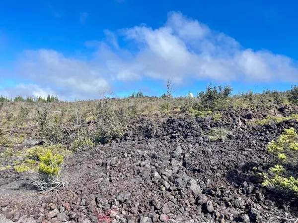 Ocean View, HI 96737,Lot 32 Sea View Dr