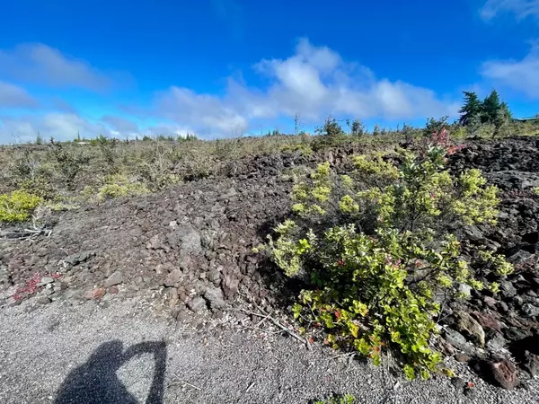 Ocean View, HI 96737,Lot 32 Sea View Dr