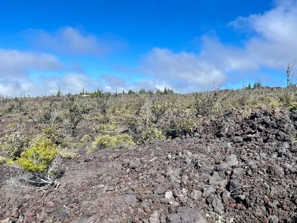 Ocean View, HI 96737,Lot 32 Sea View Dr