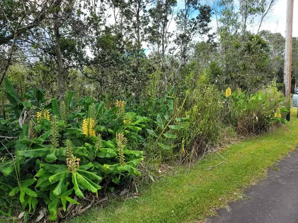 Volcano, HI 96785,FIFTH ST/JADE AVE