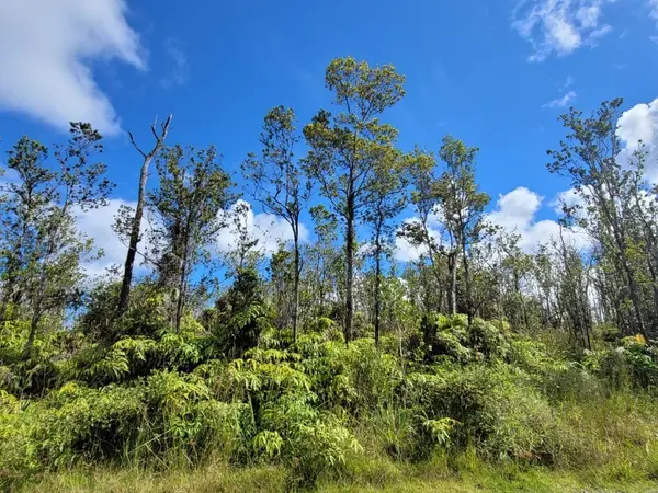 11-2683 MAKOA RD, Volcano, HI 96785