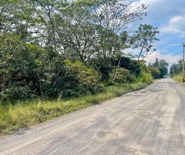 Keaau, HI 96749,24TH AVE (OHE)