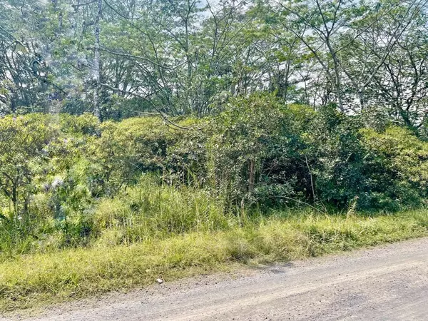 Keaau, HI 96749,24TH AVE (OHE)