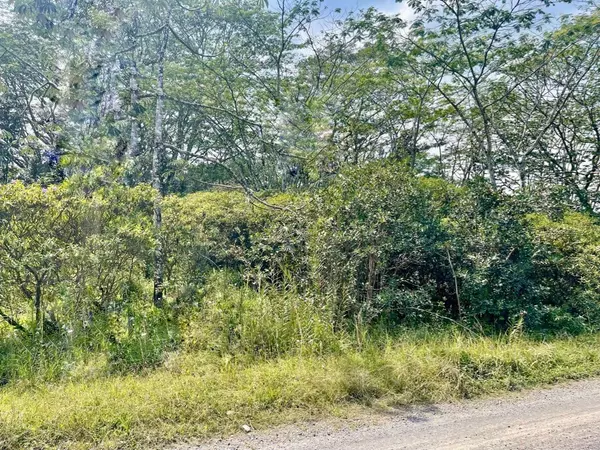 Keaau, HI 96749,24TH AVE (OHE)