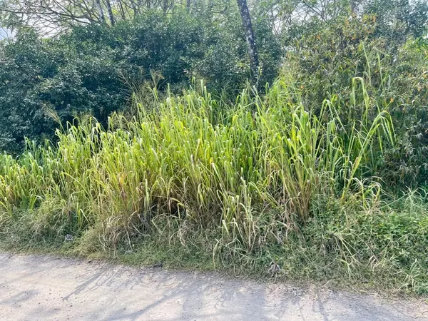 Keaau, HI 96749,24TH AVE (OHE)