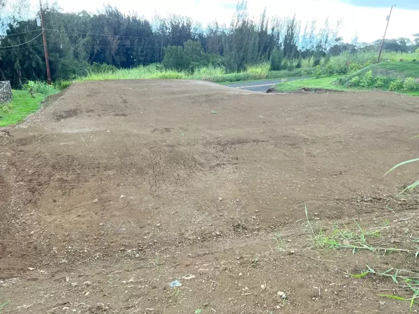 45-632 LEHUA ST, Honokaa, HI 96727