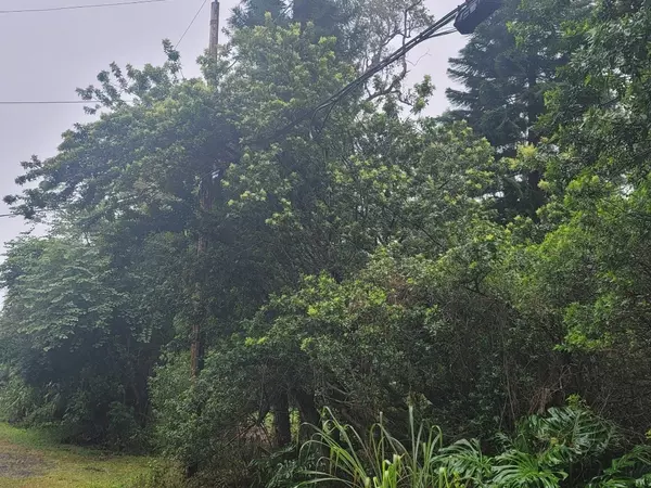 Captain Cook, HI 96704,89-727 Lani Kona Rd.