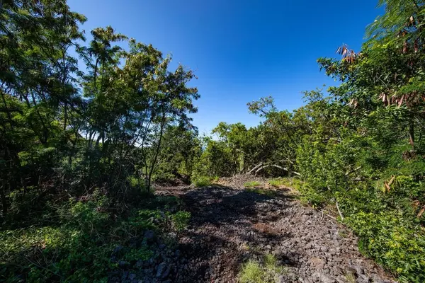 86-3669 HAWAII BELT RD, Captain Cook, HI 96704