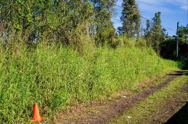 Kurtistown, HI 96760,16-2019 PARADISE CT