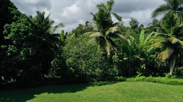 Kapaa, HI 96746,6409-A OPAEKAA RD #2