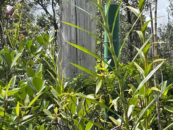 Kurtistown, HI 96760,Lot 61 40TH AVE