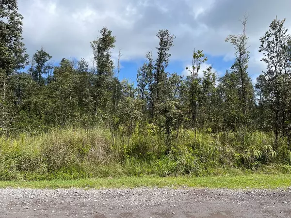 Kurtistown, HI 96760,Lot 61 40TH AVE