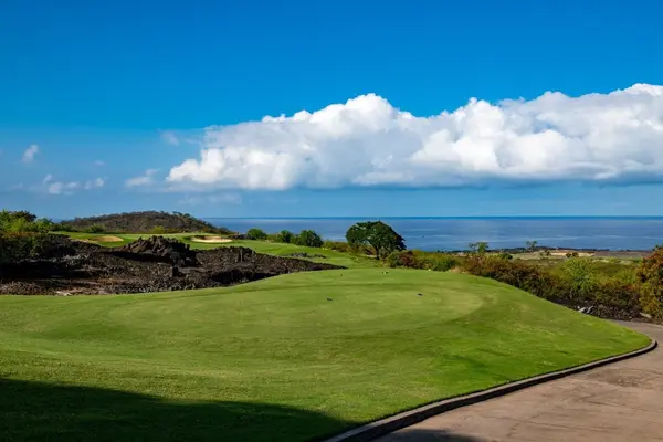 Captain Cook, HI 96750,81-497 PALENA PL