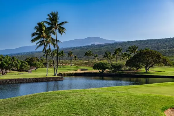 Captain Cook, HI 96750,81-497 PALENA PL