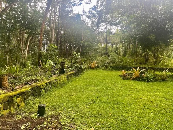 Pahoa, HI 96778,S Lot 797 LALAKEA ST