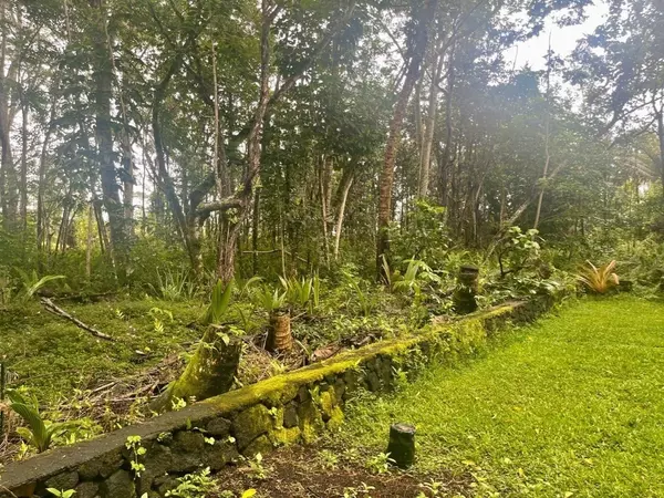 Pahoa, HI 96778,S Lot 797 LALAKEA ST