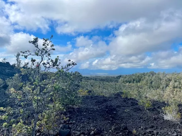 Ocean View, HI 96737,TIKI LN