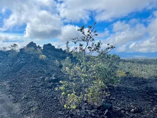 Ocean View, HI 96737,TIKI LN