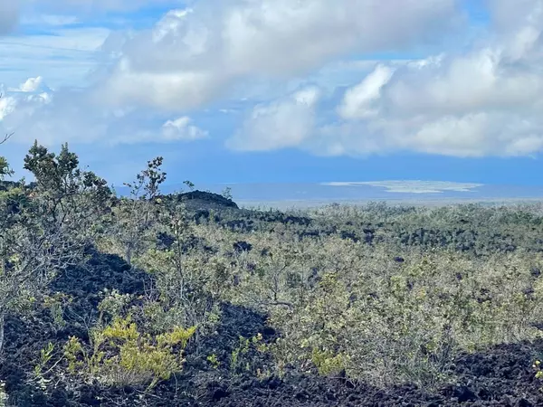 Ocean View, HI 96737,TIKI LN