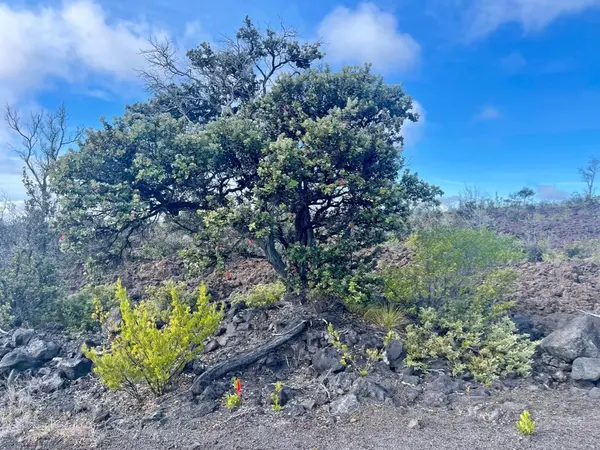 Ocean View, HI 96737,Lot 16 Marlin Blvd