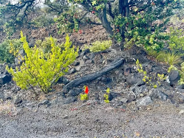 Ocean View, HI 96737,Lot 16 Marlin Blvd