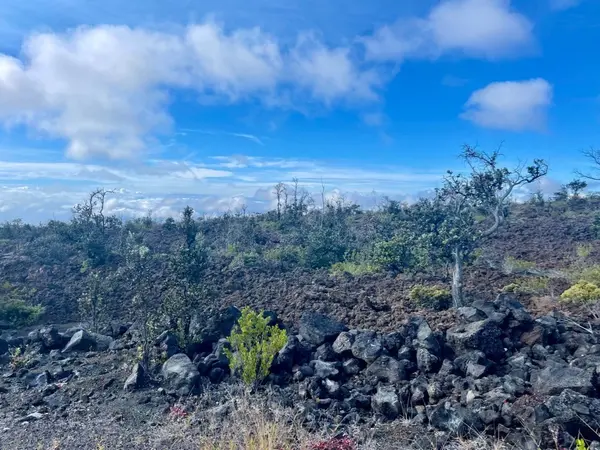 Ocean View, HI 96737,Lot 22 Marlin Blvd