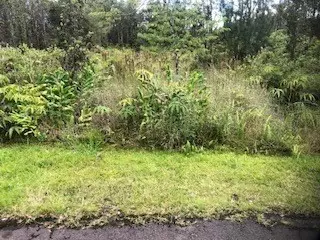 Volcano, HI 96785,11-3079 MOKUNA ST