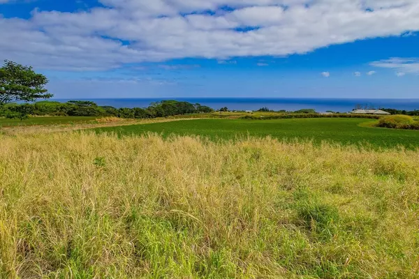 Honomu, HI 96728,KAHI NANI RD #PARCEL 40