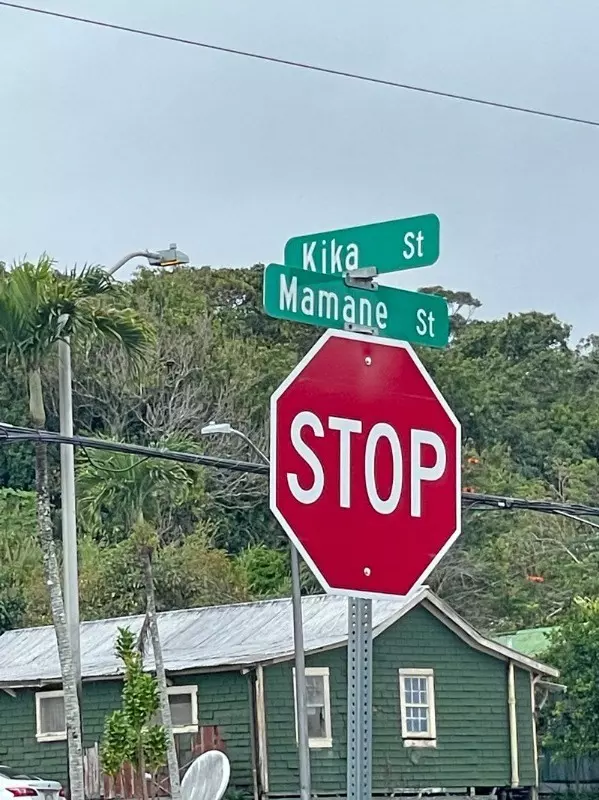 Honokaa, HI 96727,45-497 KIKA ST