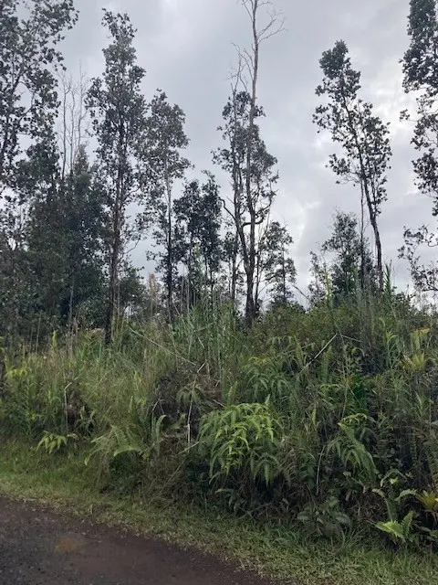 Kurtistown, HI 96760,ROAD 9 (KOLOA MAOLI)