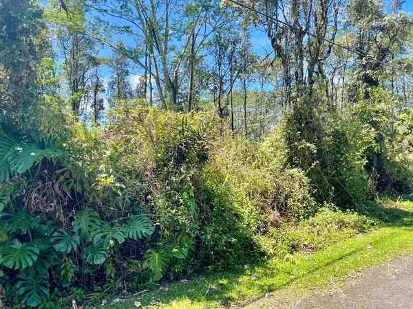 Pahoa, HI 96778,Lot 645 PAHOA RD