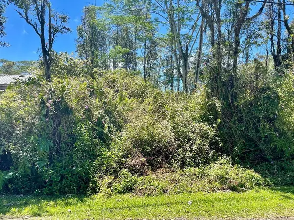 Pahoa, HI 96778,Lot 645 PAHOA RD