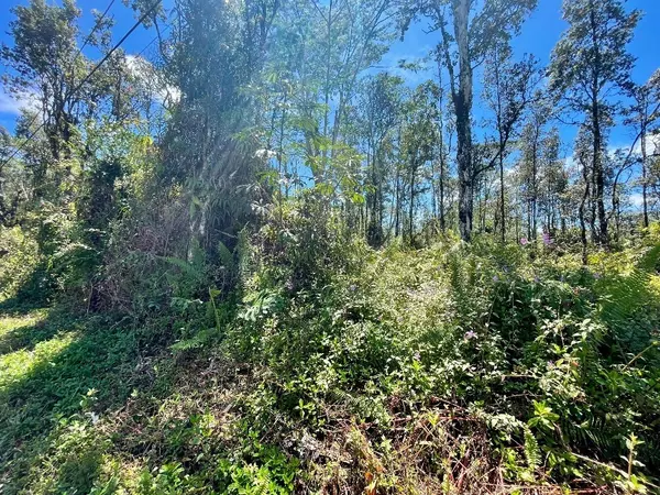 Pahoa, HI 96778,Lot 645 PAHOA RD
