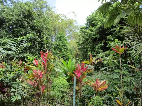 Kurtistown, HI 96760