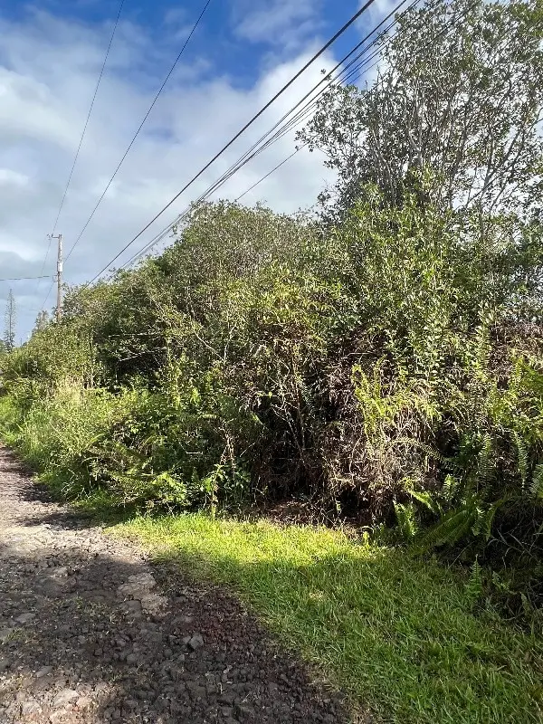 ROAD 7 (OPEAPEA), Kurtistown, HI 96760