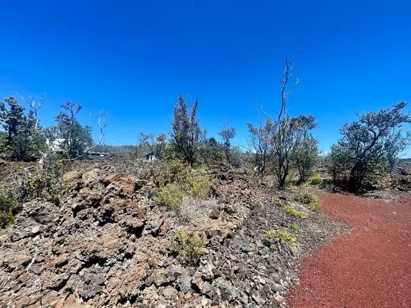 Ocean View, HI 96737,PLUMERIA LN