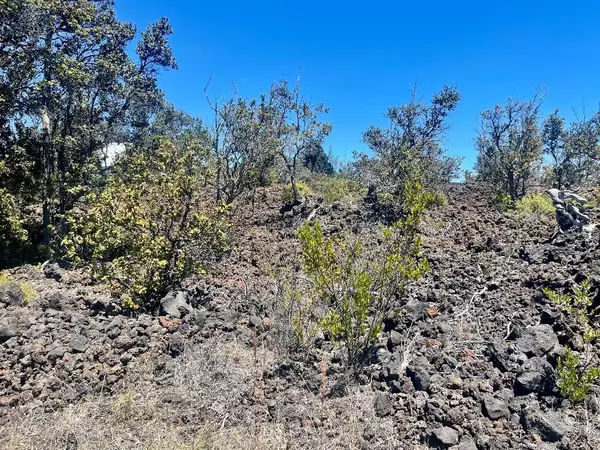 Ocean View, HI 96737,PLUMERIA LN