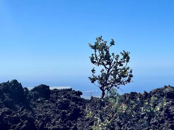 Ocean View, HI 96737,KAILUA BLVD