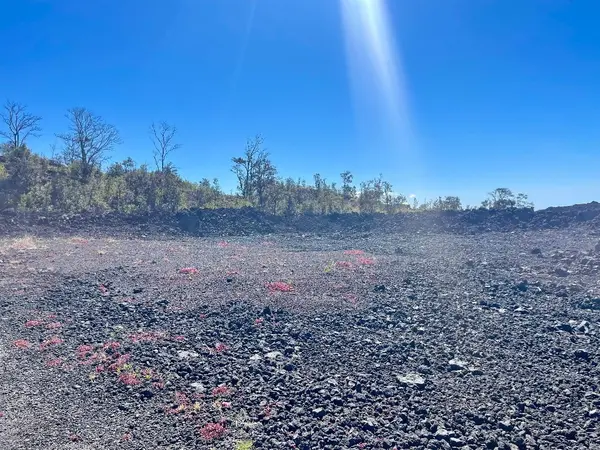 Ocean View, HI 96737,KAILUA BLVD